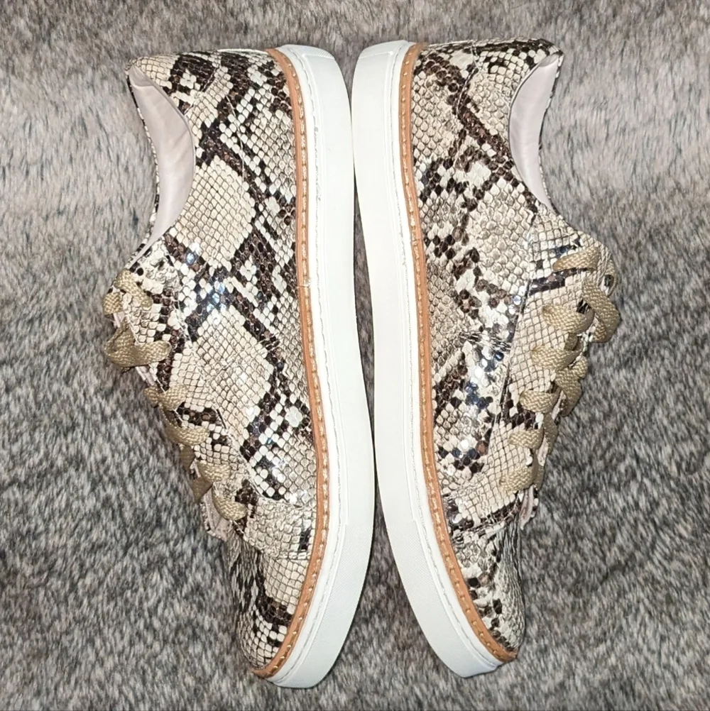 Zara Faux Python Lace Up Sneaker Women's 8 - Picture 9 of 12